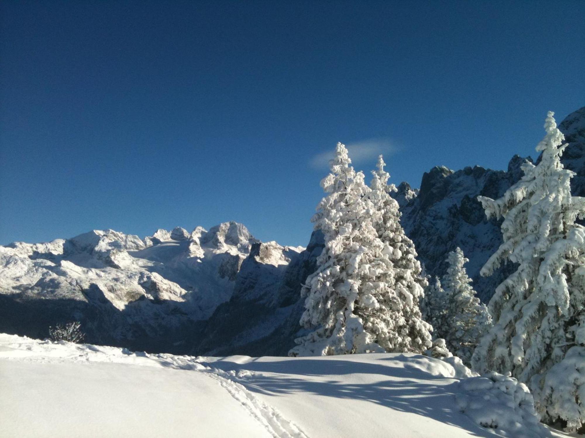 Sunseitn Apartments Gosau Luaran gambar