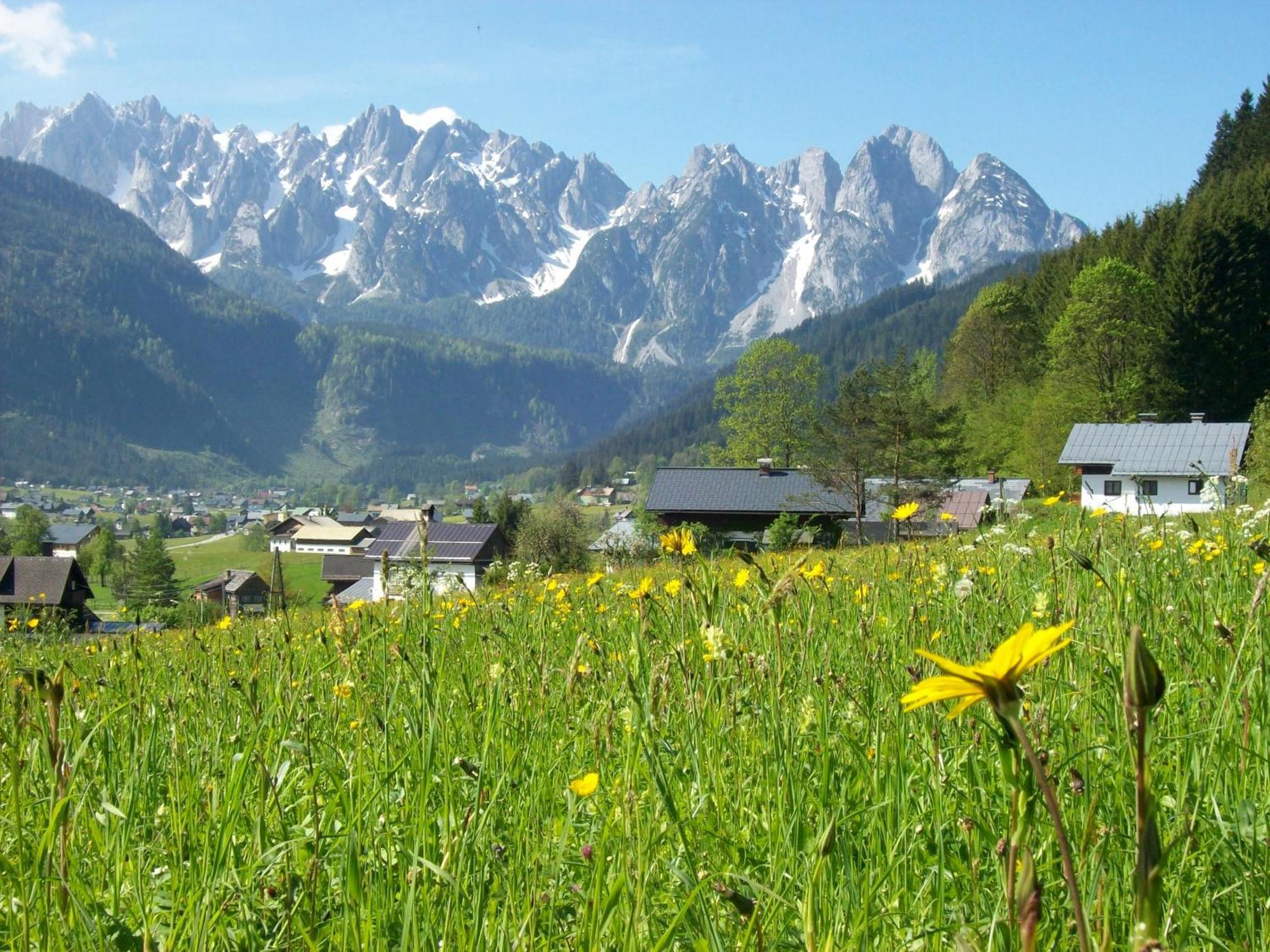 Sunseitn Apartments Gosau Luaran gambar